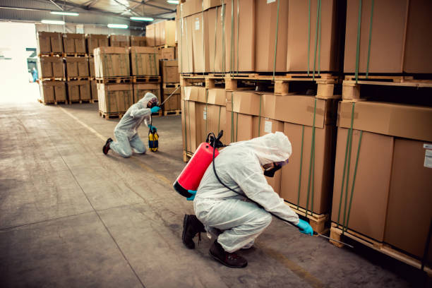 Best Affordable Pest Control Services  in Mount Dora, FL