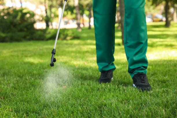 Best Pest Removal Services  in Mount Dora, FL