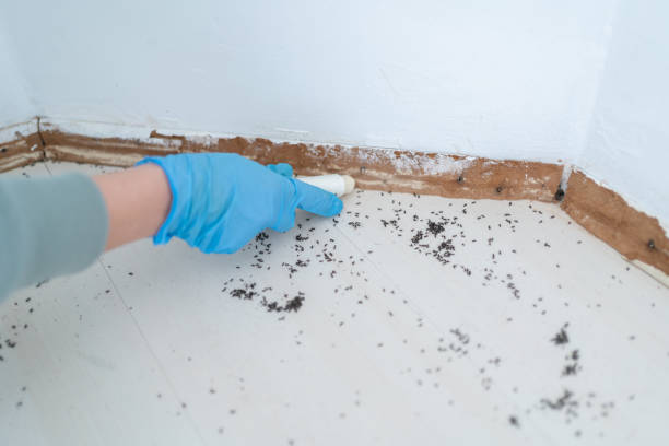 Mount Dora, FL Pest Control Company